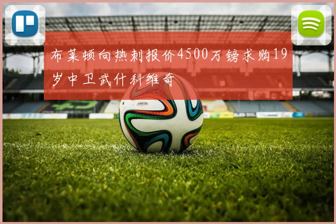 布莱顿向热刺报价4500万镑求购19岁中卫武什科维奇